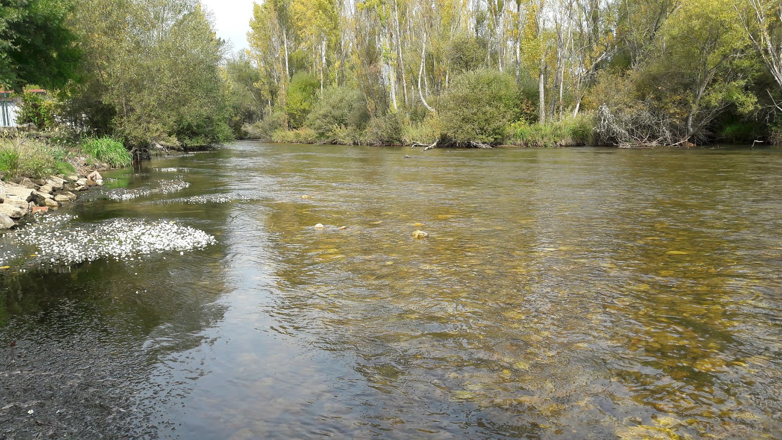 COTO DE PESCA VEGAQUEMADA.