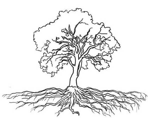 Gambar Download Sketsa Hitam Putih Mewarnai Pohon Terbaru Cari Cabe