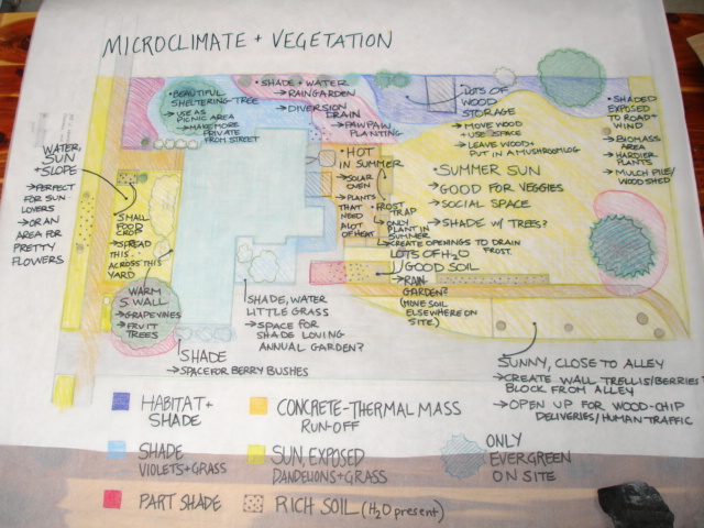 permaculture project: Assessment