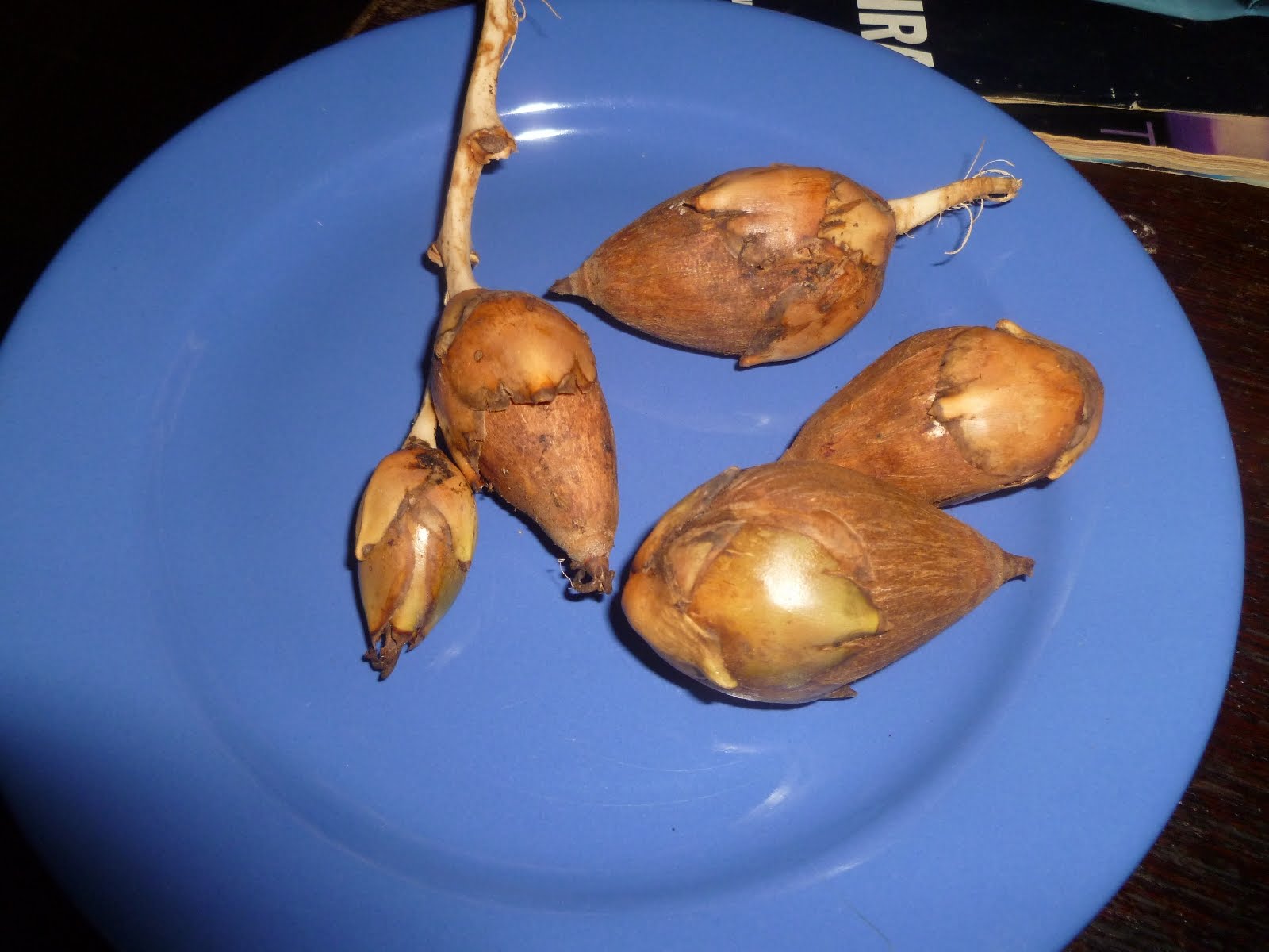 Life in French Guiana and beyond More food