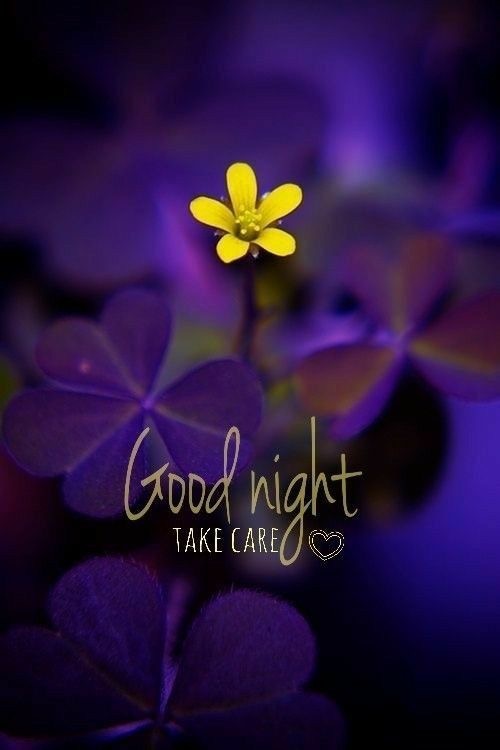 night blessing night blessing