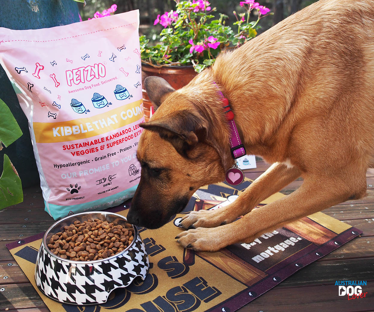 Petzyo GrainFree Dog Food Review Australian Dog Lover