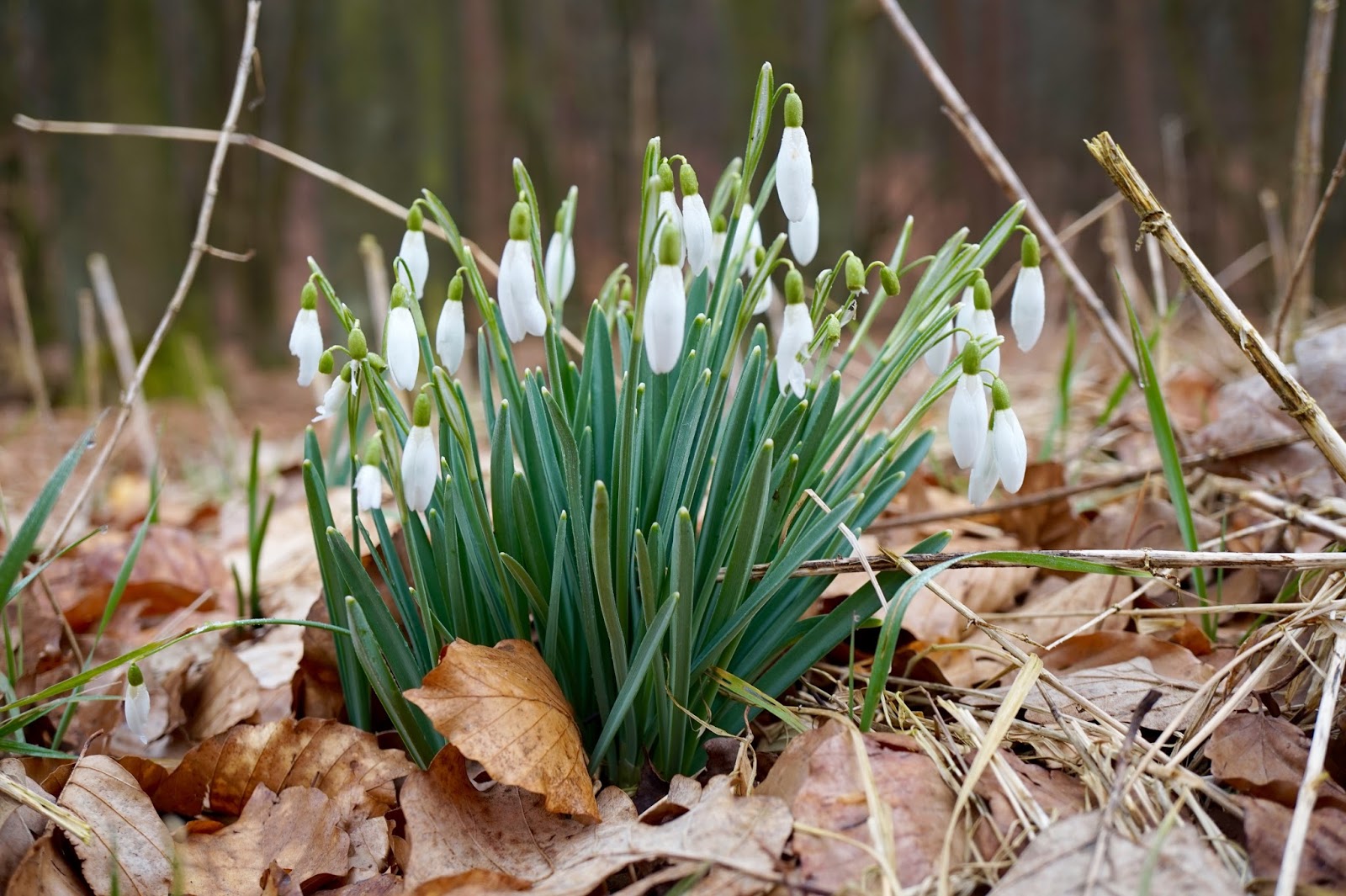 3 Bp Blogspot Com B9ec8ewfho8 Vrg4pl3cmki Aaaaaaaaeka 6avsb0a6c18