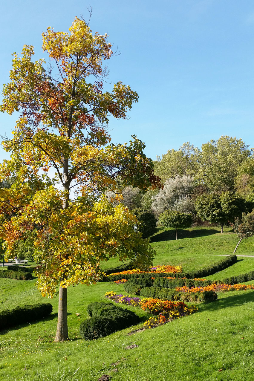 Freizeit Urlaub Urlaub In Koblenz In Der Jugendherberge Auf Der