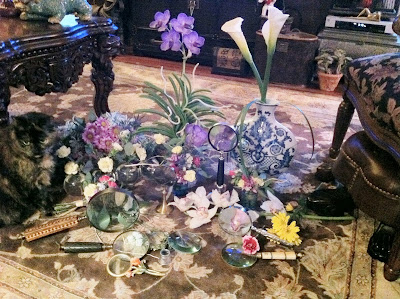 Penelope cat, flowers and magnifying glasses - Stein Your Florist Co. Penelope cat, flowers and magnifying glasses - Stein Your Florist Co.