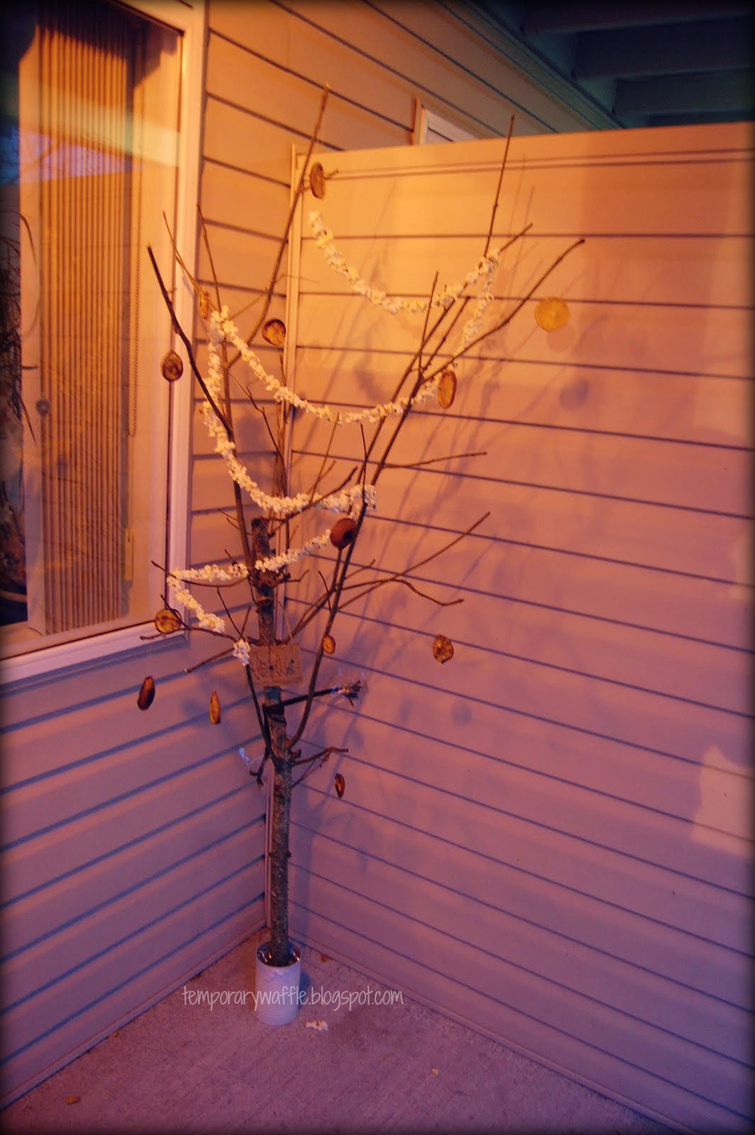 Temporary Waffle Charlie Brown Christmas Tree