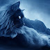 El Aura de un gato puede proteger su hogar de fantasmas y entidades negativas