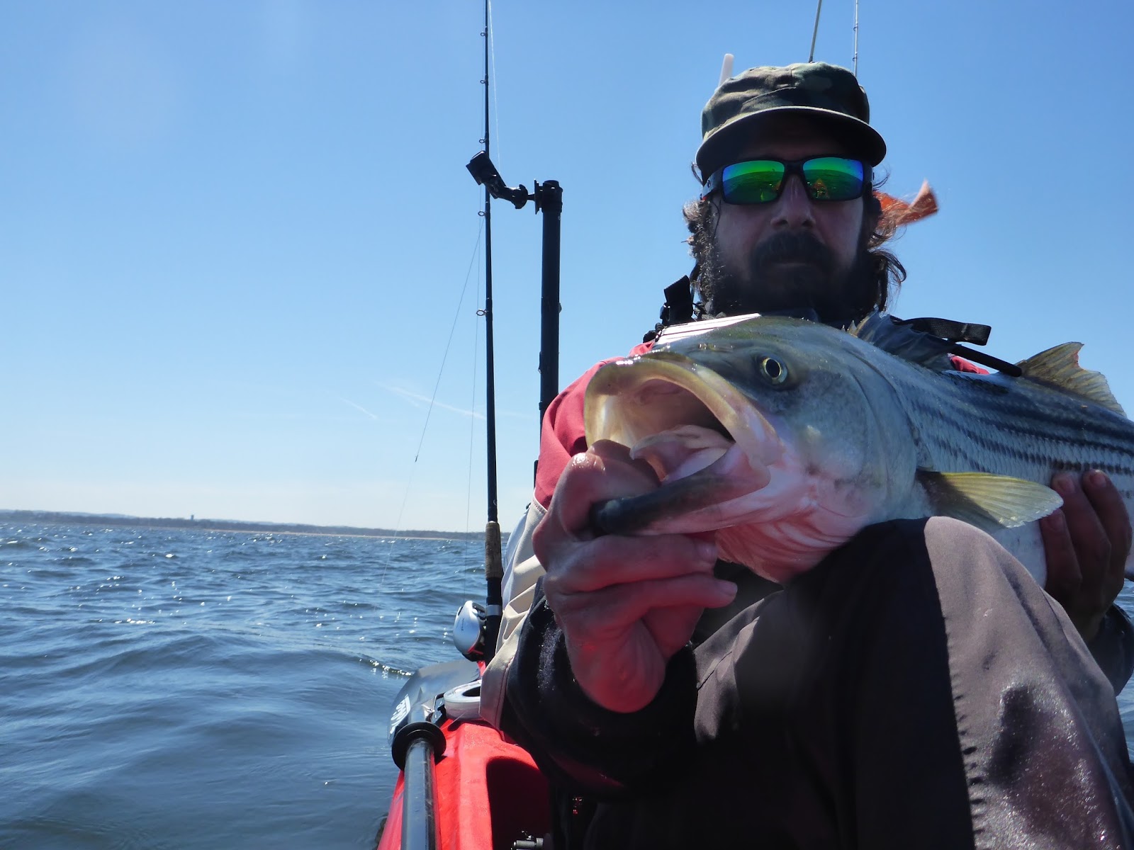 new jersey fishing report fishing new jersey NJ fishing fishing