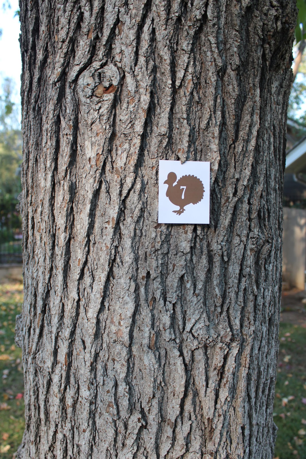 Thanksgiving Activities from All for the Boys