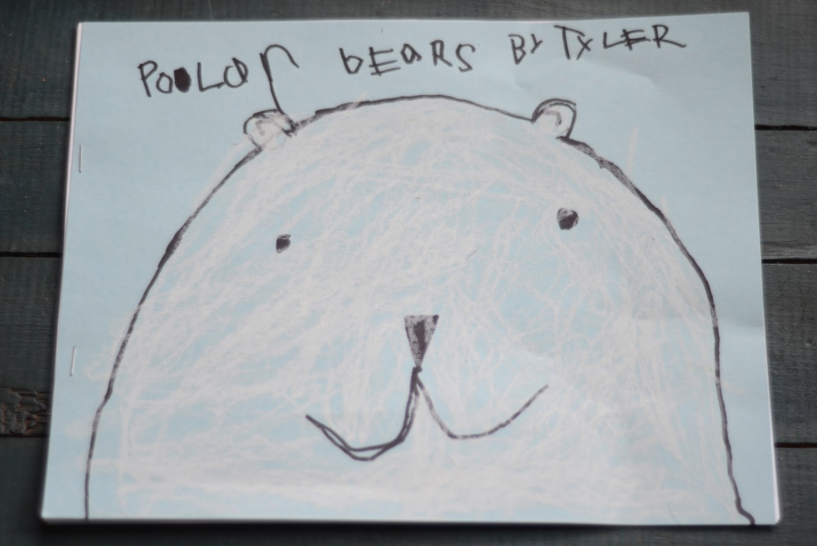 A Place Called Kindergarten: polar bear experts