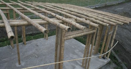 Bioconstrucción y Aventura al aire libre: Techo y cubierta