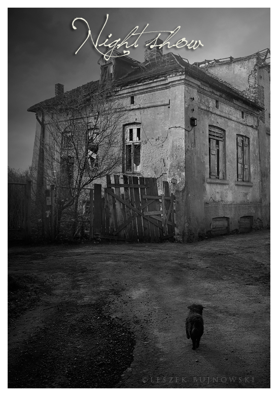 Best Hd Movie poster Background Download / 2018 Best Movie poster