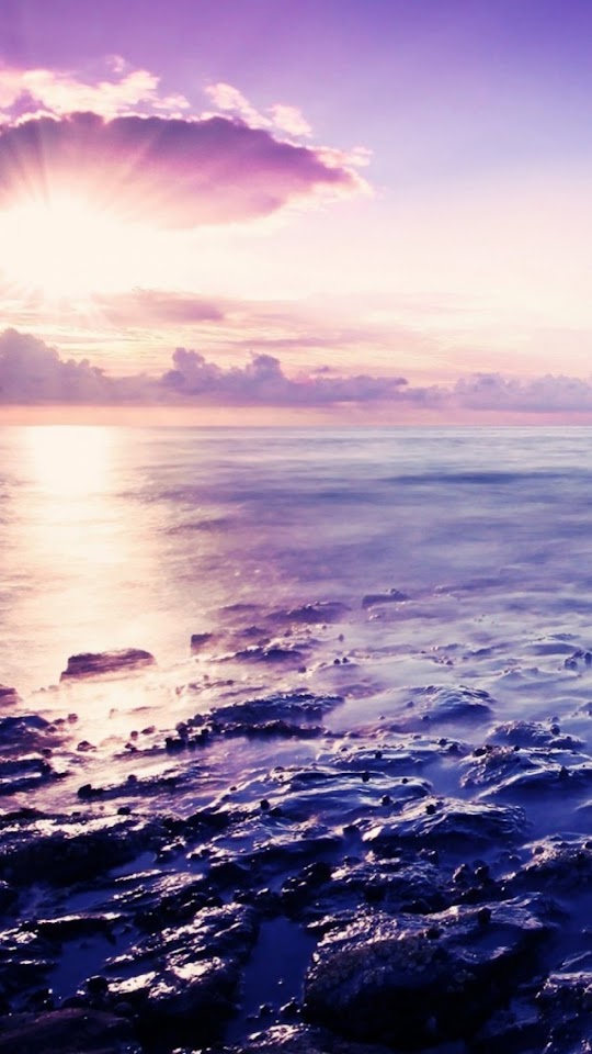 Morning Sea Shore Sunrise Purple Tones  Android Best Wallpaper