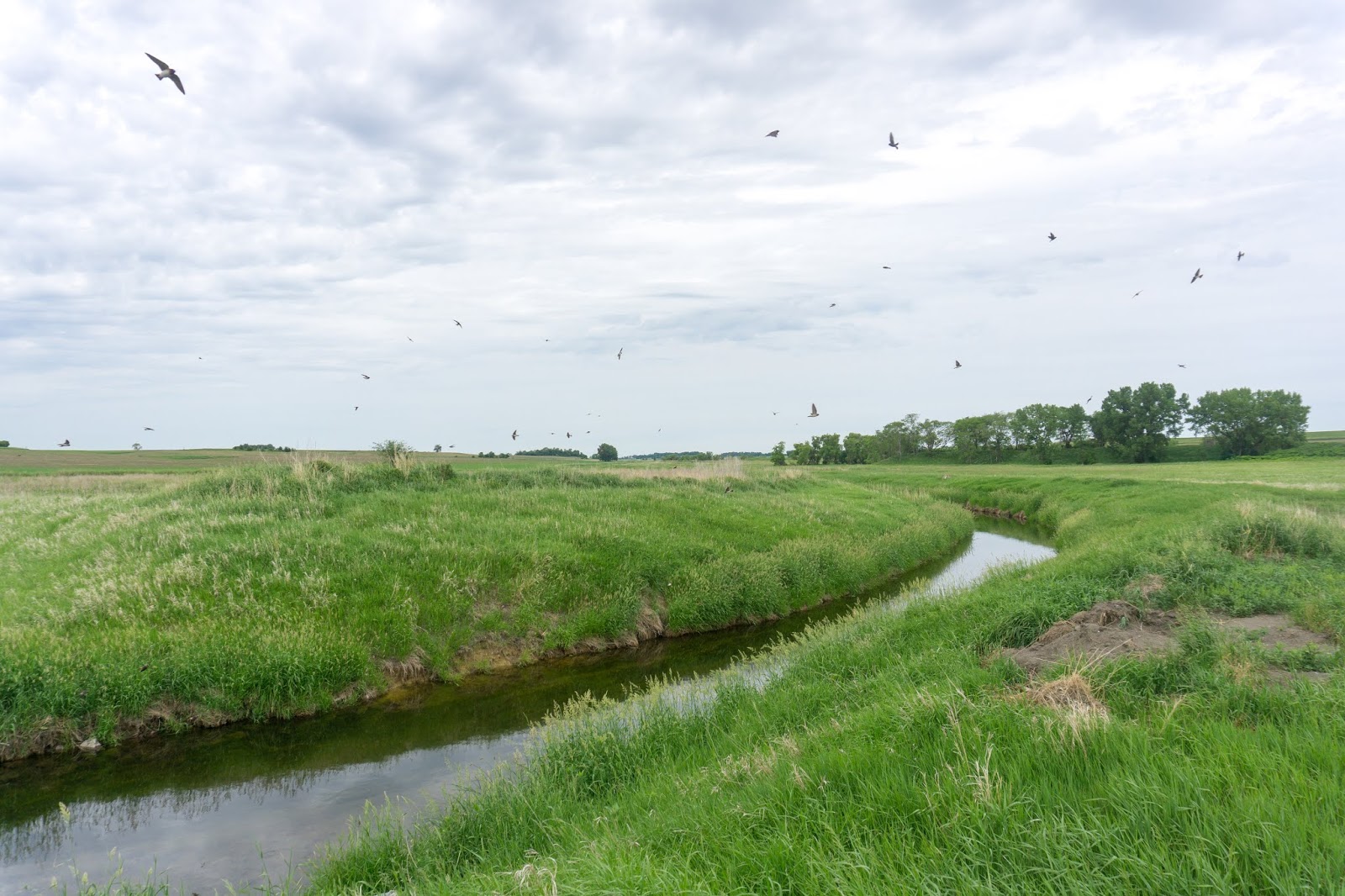 Boston to Seattle 2018 Day 40 Montevideo,MN to Ortonville,MN