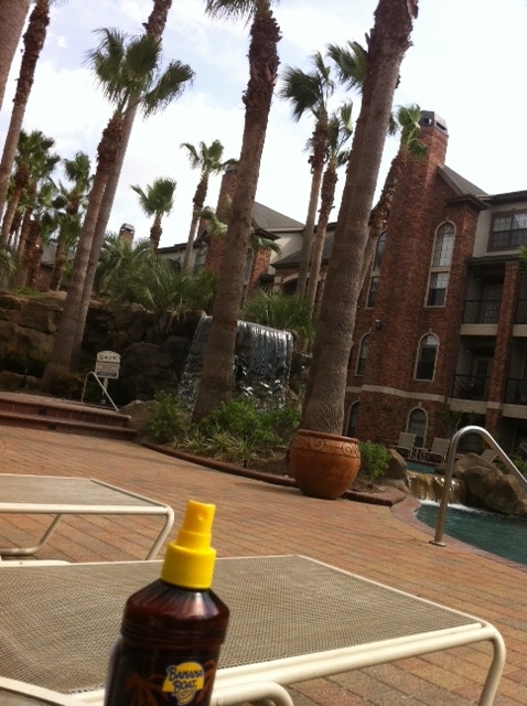 sprinkles red velvet. Sprinkles Vegan red velvet