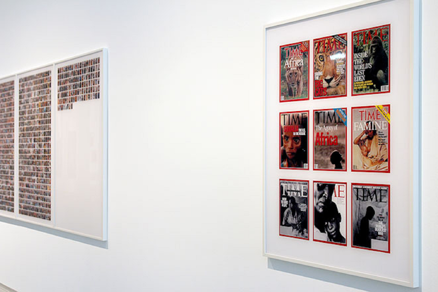 Araucaria ALFREDO JAAR ÉBLOUIT LES RENCONTRES D'ARLES