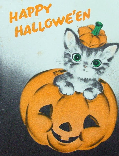 Katze Halloween