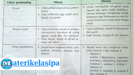 Persamaan antara pembelahan mitosis dan meiosis pada sel manusia hewan dan tumbuhan adalah