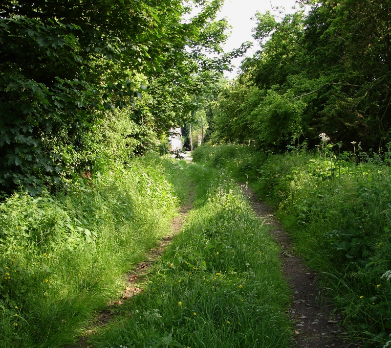 Ginnels Gates and Ghosts Green Lane