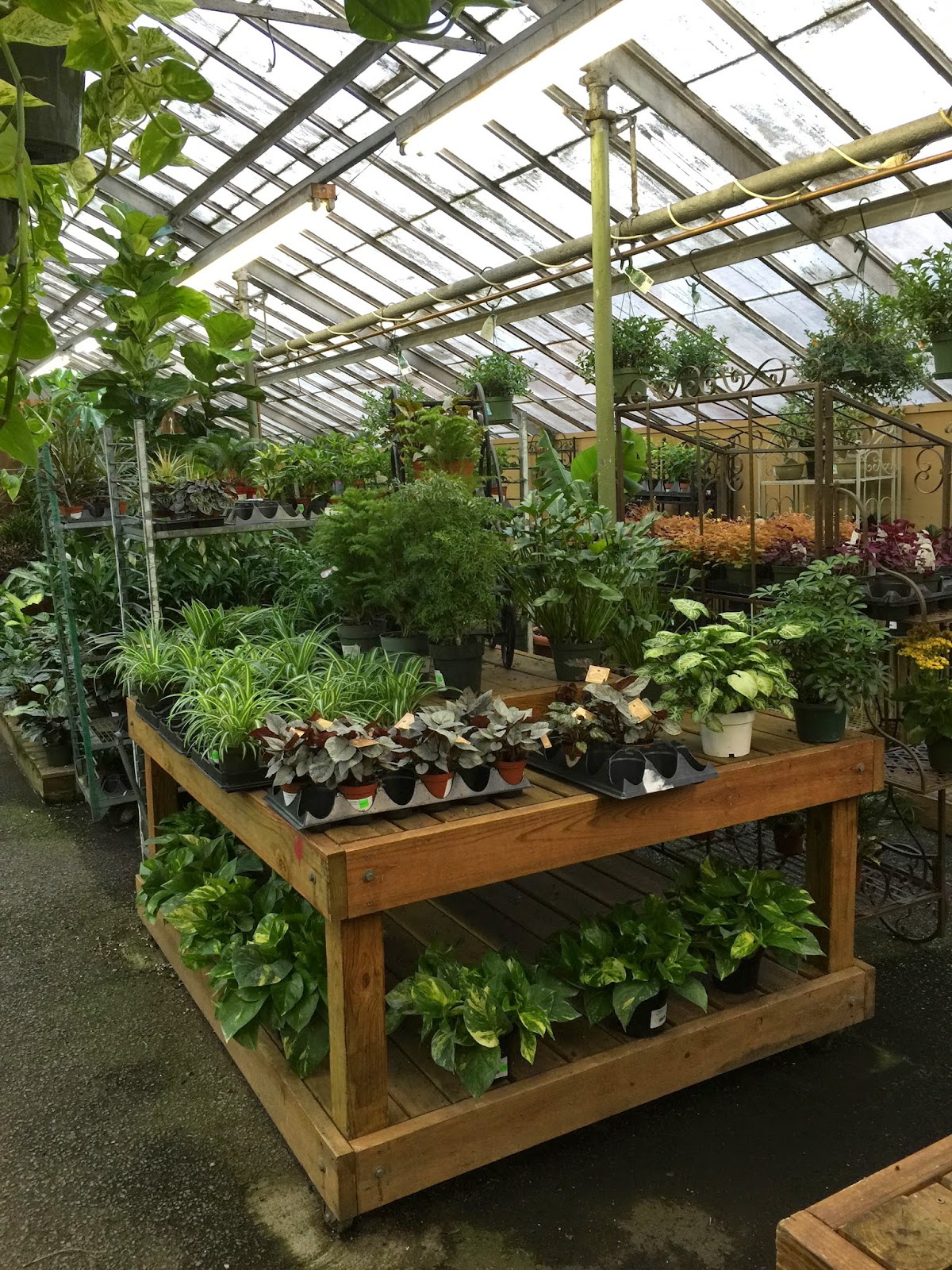 A Great Garden Center In Flushing And Bayside Garden World