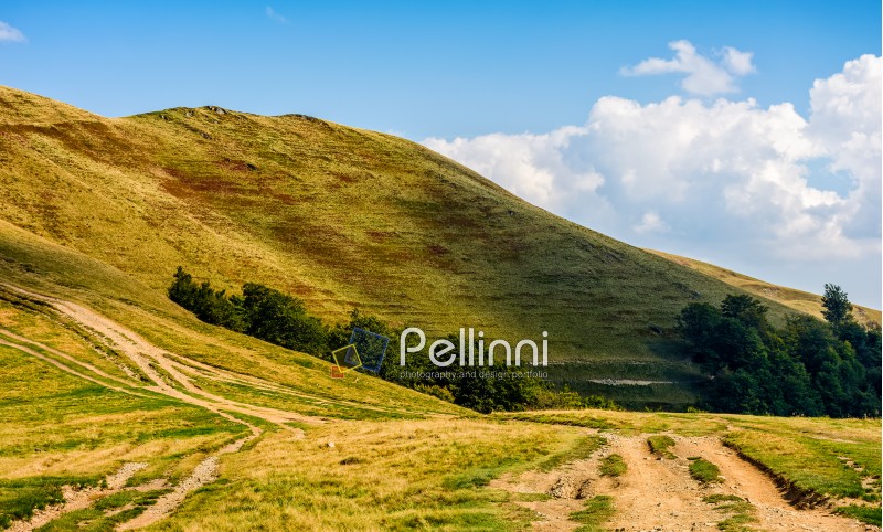 Pellinni Photography: New Travel Imagery