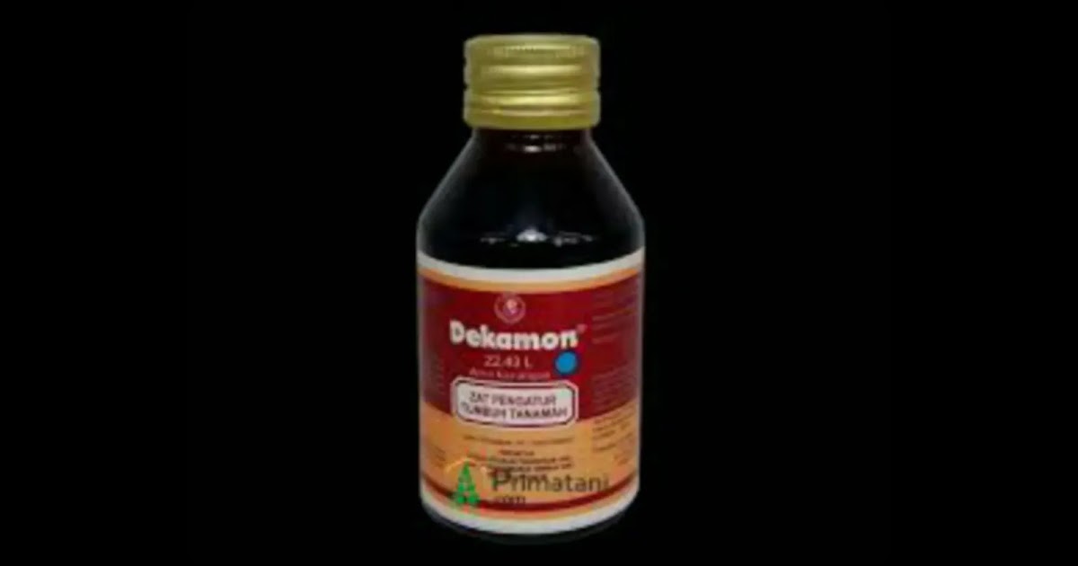Manfaat Dan Dosis Zat Pengatur Tumbuh Dekamon 22 43 L Agrotani Cipanas Manfaat Dan Dosis Zat Pengatur Tumbuh Dekamon 22 43 L Agrotani Cipanas