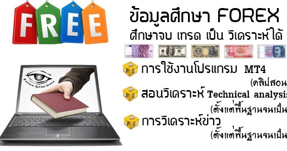 Forex xl course free download