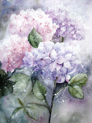 hydrangea watercolor painting watercolour hydrangeas paintings florals flower flowers floral watercolors artist yvonne harry background drawing bee hydrangia watercolourflorals leaves