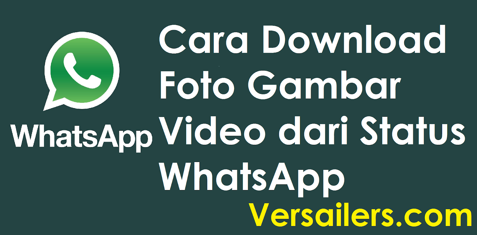 7 Cara Download Foto Video Gambar dari Status Whatsapp VERSAILERS