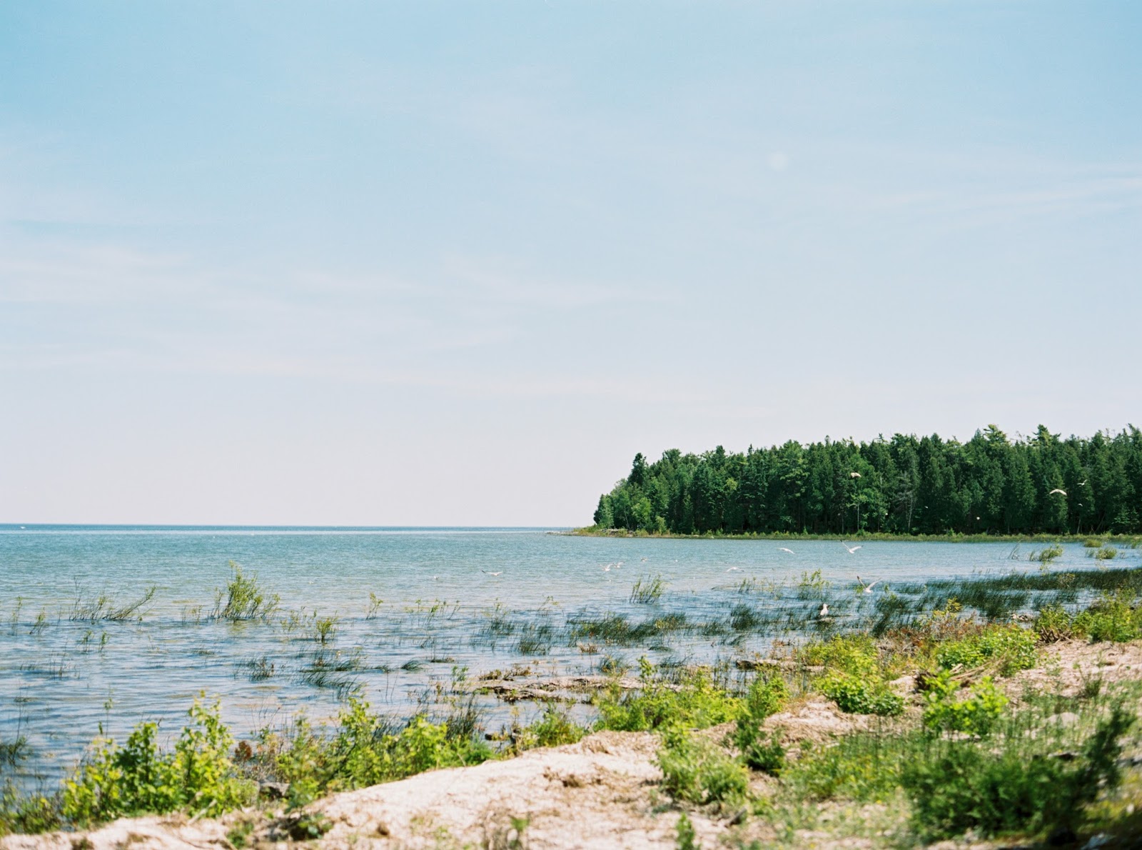 Andrea Naylor Photography Hannah And Andrew S Gordon Lodge Wedding