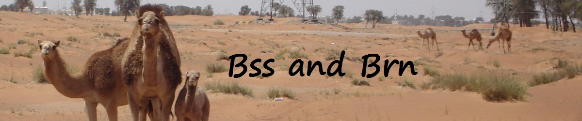 Bss & Brn in Abu Dhabi 