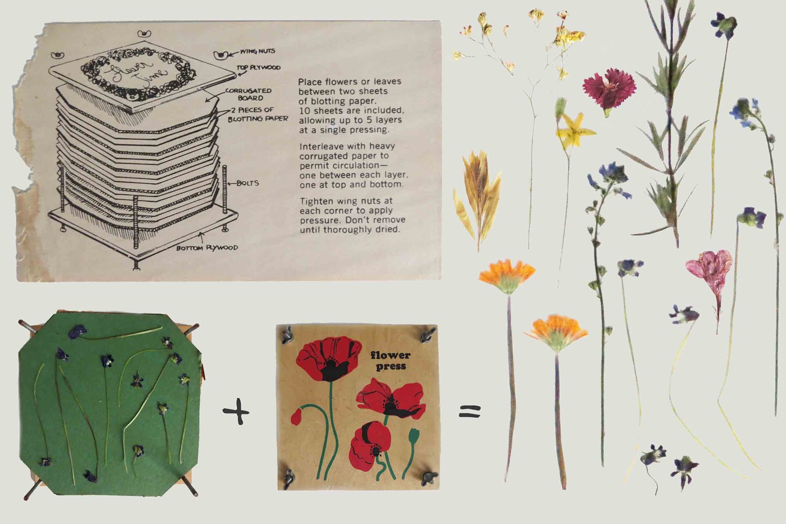 Collective Individual How to Press Flowers