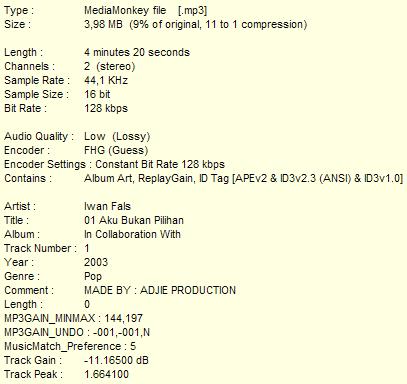 Download Lagu Iwan Fals Aku Bukan Pilihan