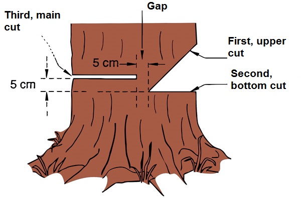 safety in offshore drilling the role of shallow gas surveys proceedings of an international conference safety in offshore