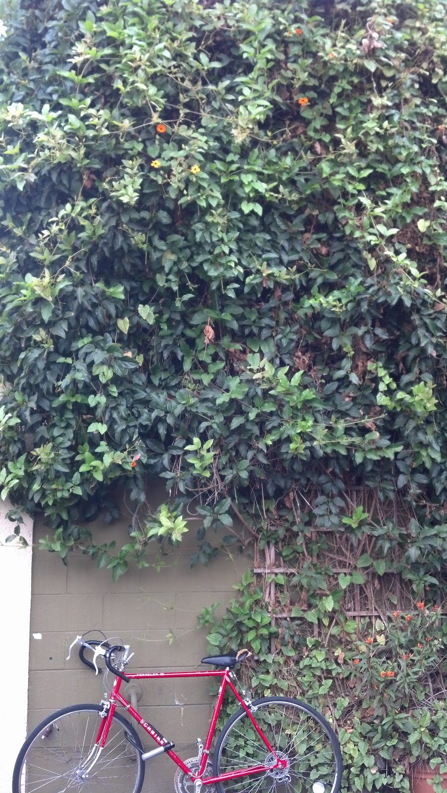 Growing Steady September 2013