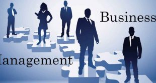 Types Of Business Management Degrees – The 4 Most Popular Business Majors