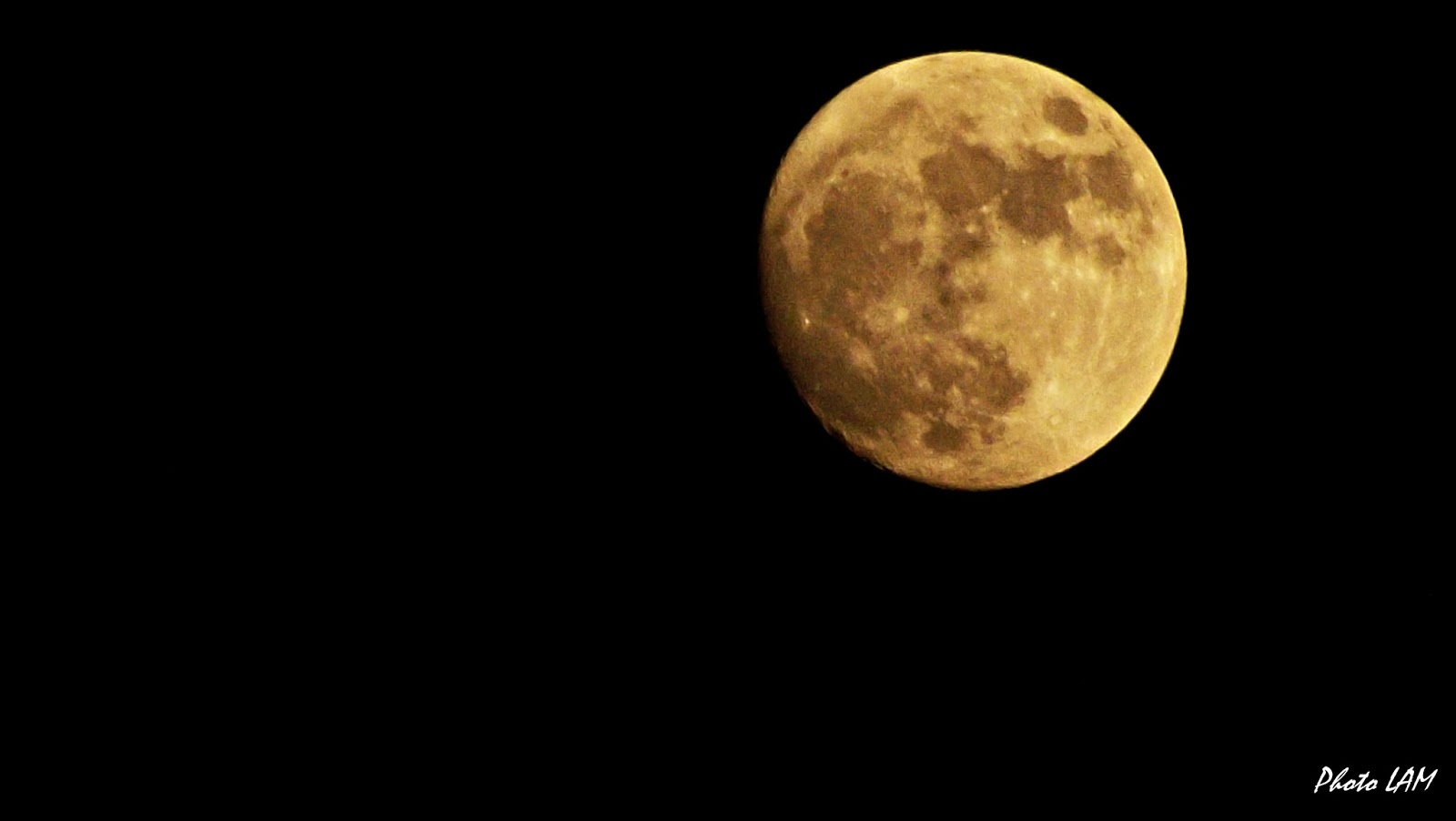 Луна как желтый медведь. Желтая Луна в лесу. Желтая Луна фото. Желтая Луна в Подмосковье. Желтая Луна в Египте.