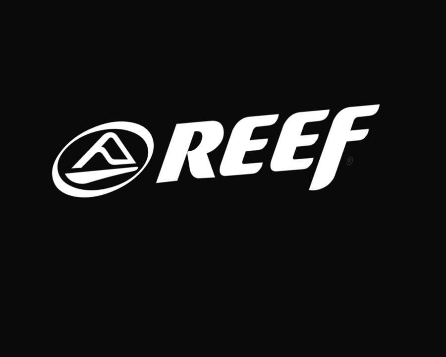 Cloud Fleet Creation [New Video] (Reef) "Swellular Technology // The