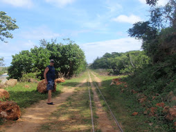 the sugar cane railroad