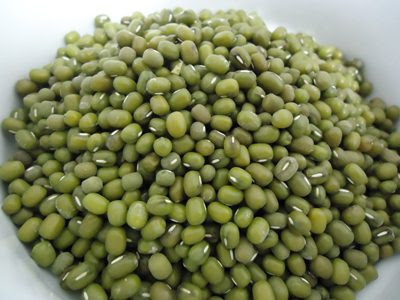 Kacang hijau biasanya dimanfaatkan sebagai makanan dimana kandungan protein yang terdapat 6 Manfaat Kacang Hijau untuk Kesehatan yang Luar Biasa