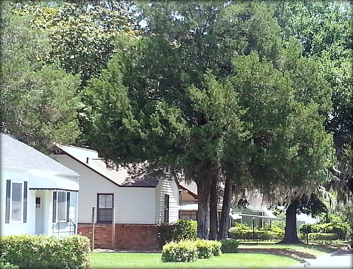 Real Estate in Savannah, Don Callahan Best Areas to Live In