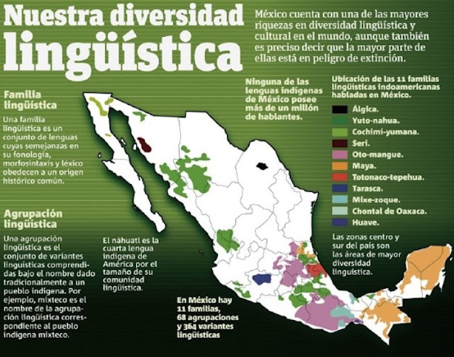 DIVERSIDAD CULTURAL: DIVERSIDAD LINGUISTIC