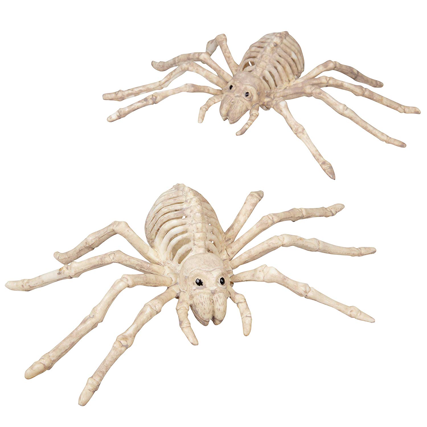 Spyder Bones by Oliver Phipps Spyder Bones by Oliver Phipps