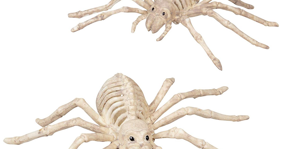 2 Pack of 10" Halloween Skeleton Spider Bones Decorations 2.99 + Free