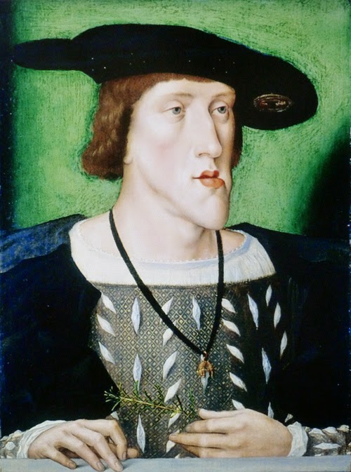 Habsburg Jaw / The Famous Habsburg Jaw The Habsburgs of Austria ruled