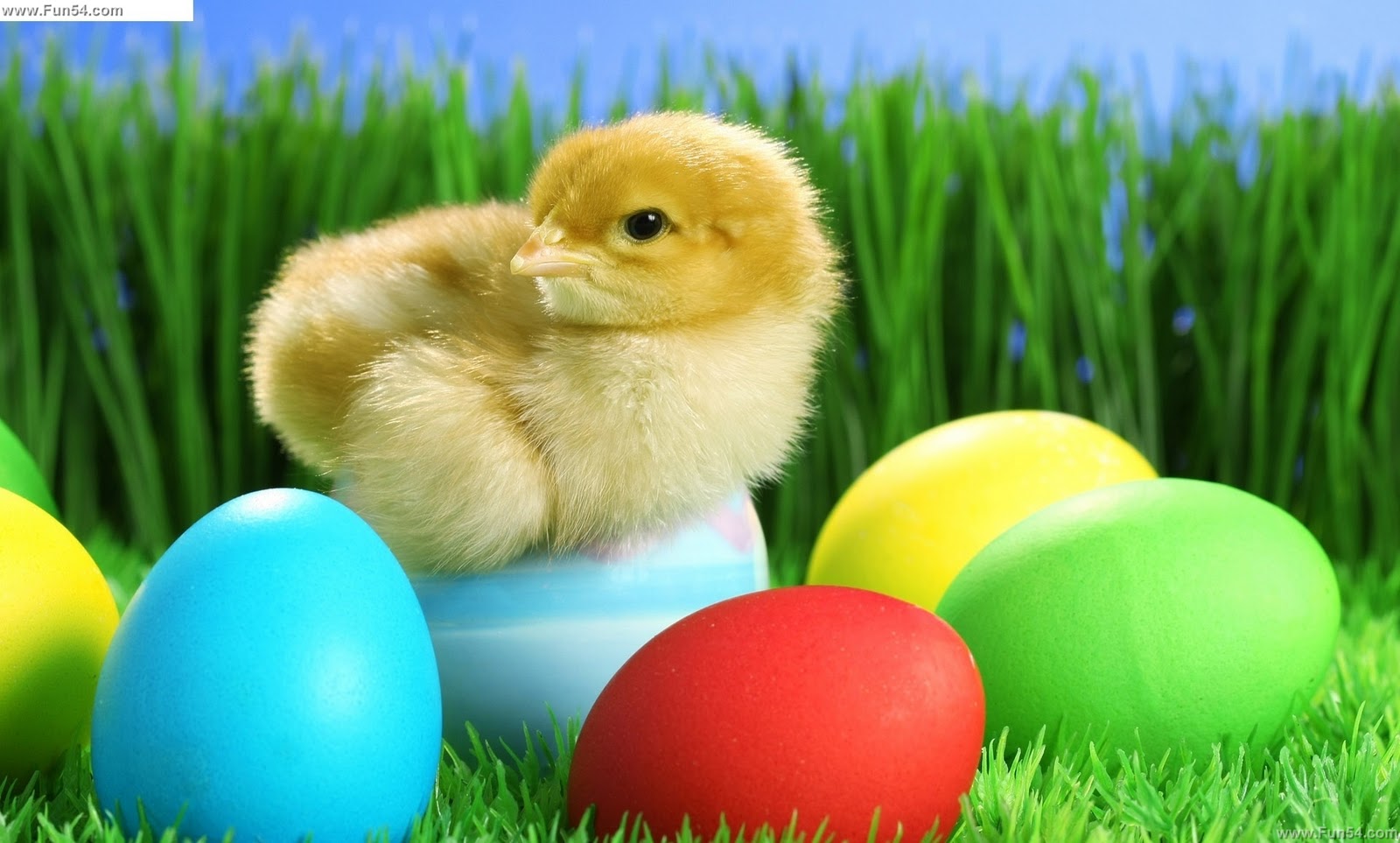 iPad High Resolution Wallpapers | Free iPad Retina HD Wallpapers