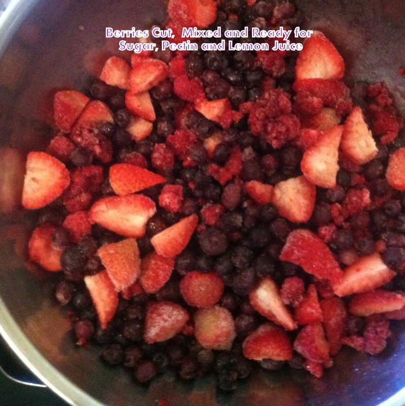 Whispering Pines MicroFarm Easy Peasy Bread Machine Jam