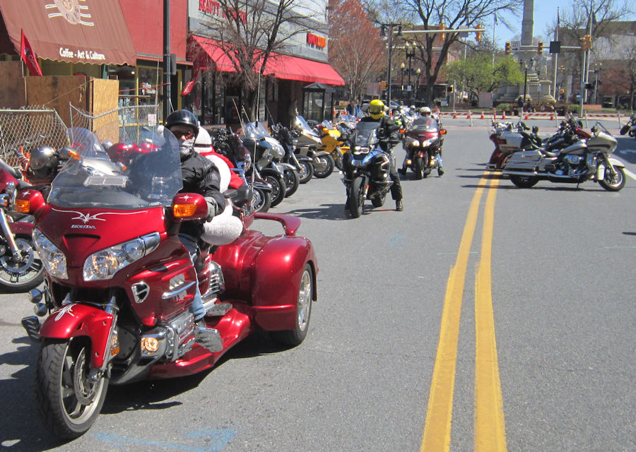 bear on a motorcycle