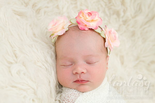 newborn photography in winston salem nc | triad newborn photographers newborn photography in winston salem nc | triad newborn photographers