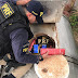PRF apreende cerca de 4 toneladas de maconha em caminhão-tanque